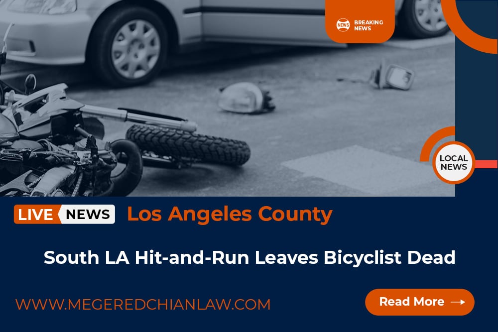 South LA Hit-and-Run